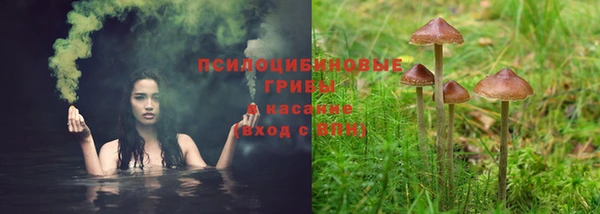 круглые Арсеньев