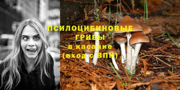 каннабис Армянск
