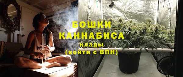 СК Аркадак