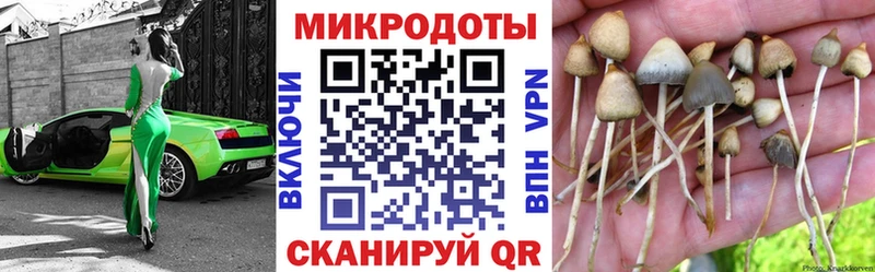 кракен как зайти  Пыть-Ях  Псилоцибиновые грибы мицелий 